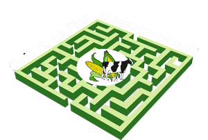 logo-laberinto-ocio-la-flor-letras-blancas